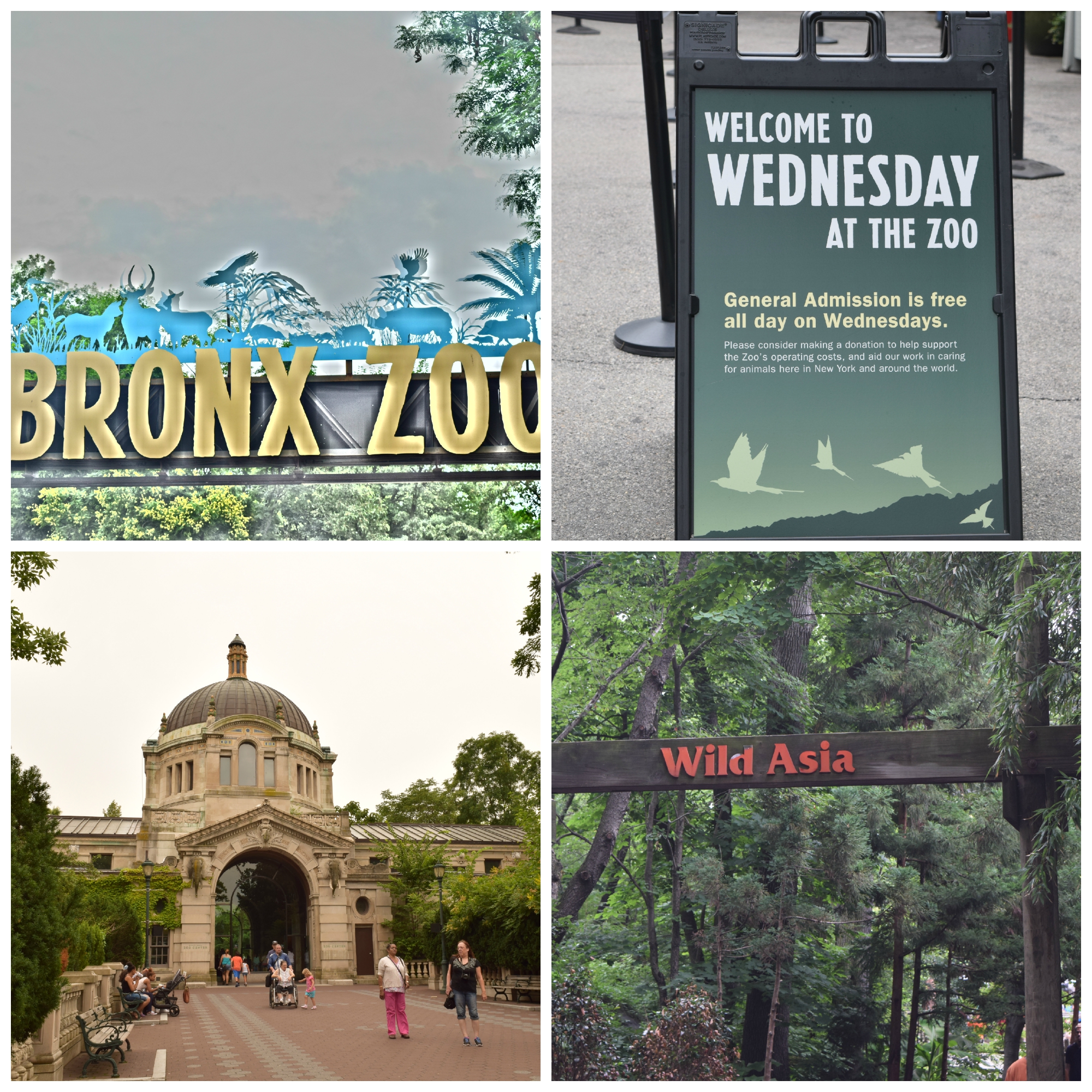 Et besøg i Bronx Zoo